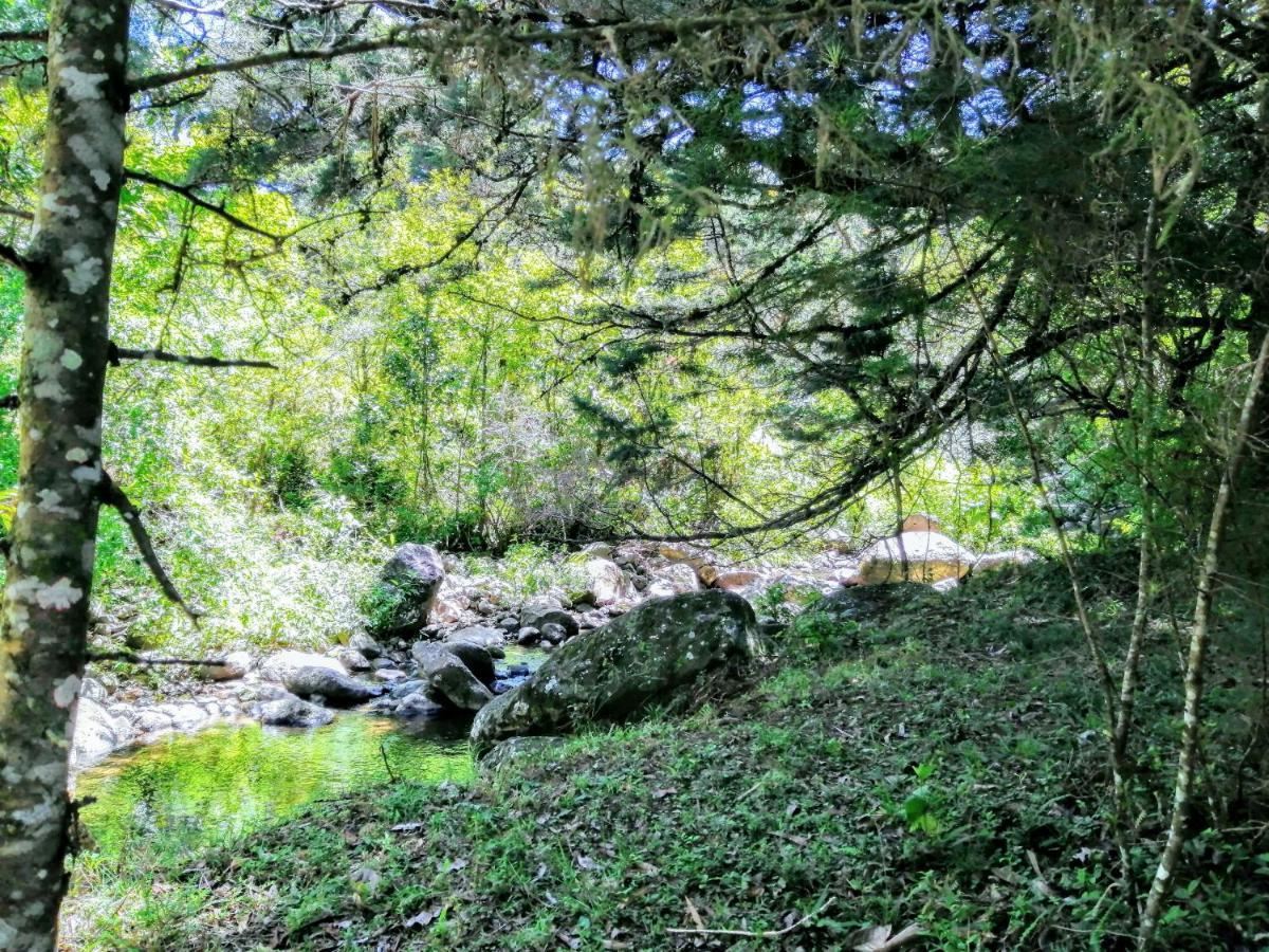 Cabana Treehouse Mountain View San Isidro  Bagian luar foto