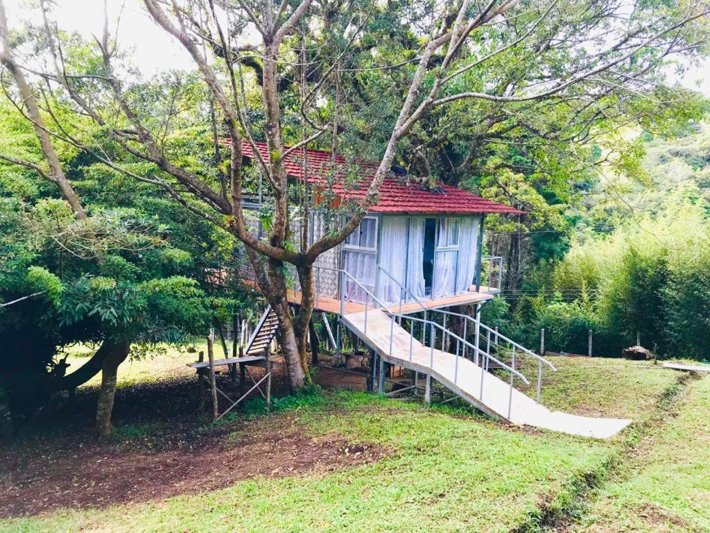 Cabana Treehouse Mountain View San Isidro  Bagian luar foto