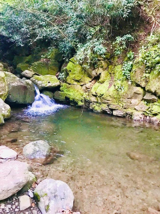 Cabana Treehouse Mountain View San Isidro  Bagian luar foto