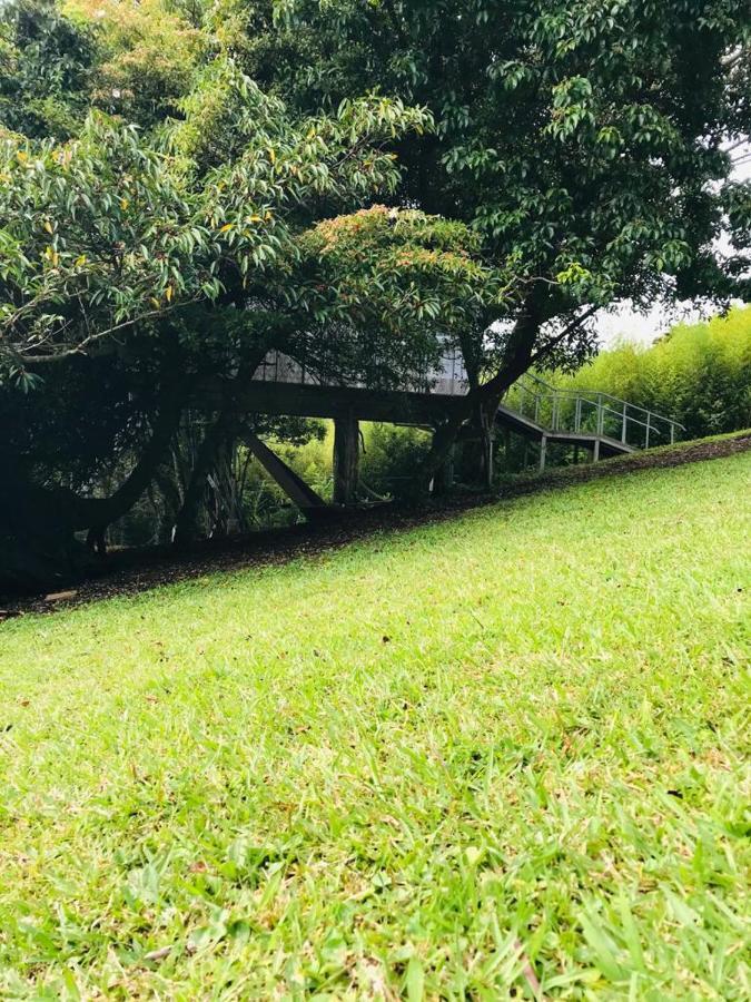 Cabana Treehouse Mountain View San Isidro  Bagian luar foto