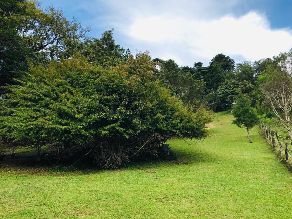 Cabana Treehouse Mountain View San Isidro  Bagian luar foto
